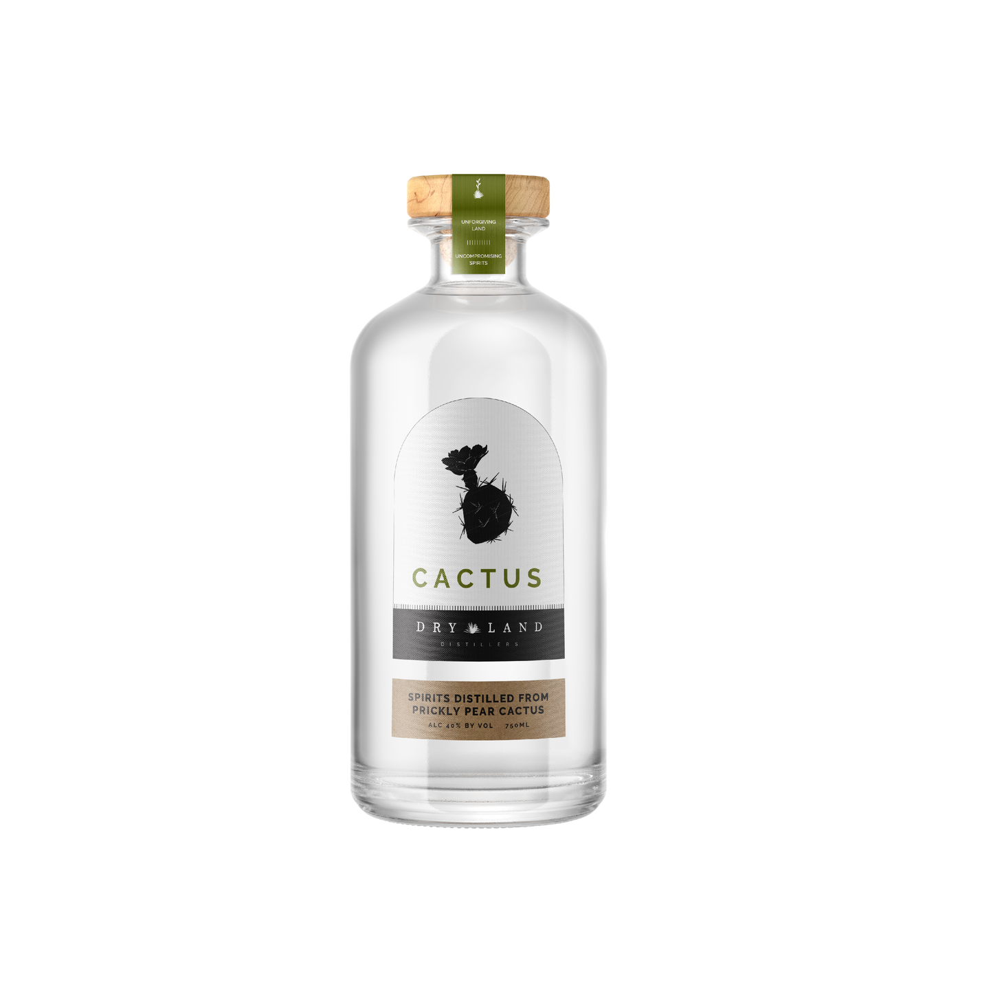 Dry Land Cactus Spirit